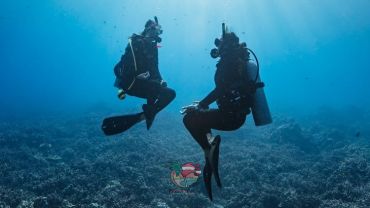 Peak Performance Buoyancy Padi (PPB) - Flutuabilidade